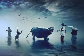青浦注销营业执照背后的故事：老板们的财税“突围”指南青浦注销营业执照的流程和注意事项